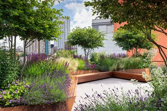 London Roof top garden designed by John Davies, Winner of the ‘Public or Commercial Space & ‘The Grand Award – Winner of Winners’ SGD Awards 2020 